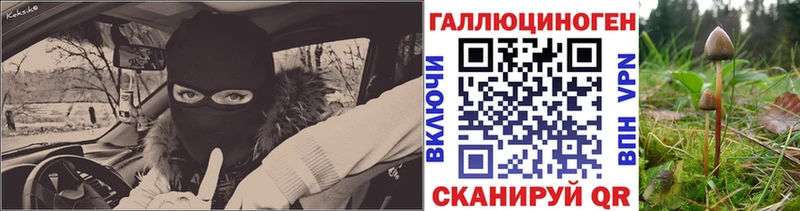 закладка Певек Псилоцибиновые грибы мицелий